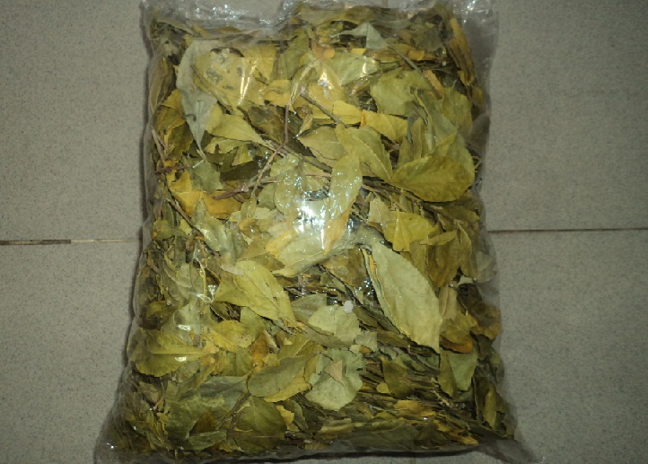 500gr chè dung khô hàng loại 1 GT163
