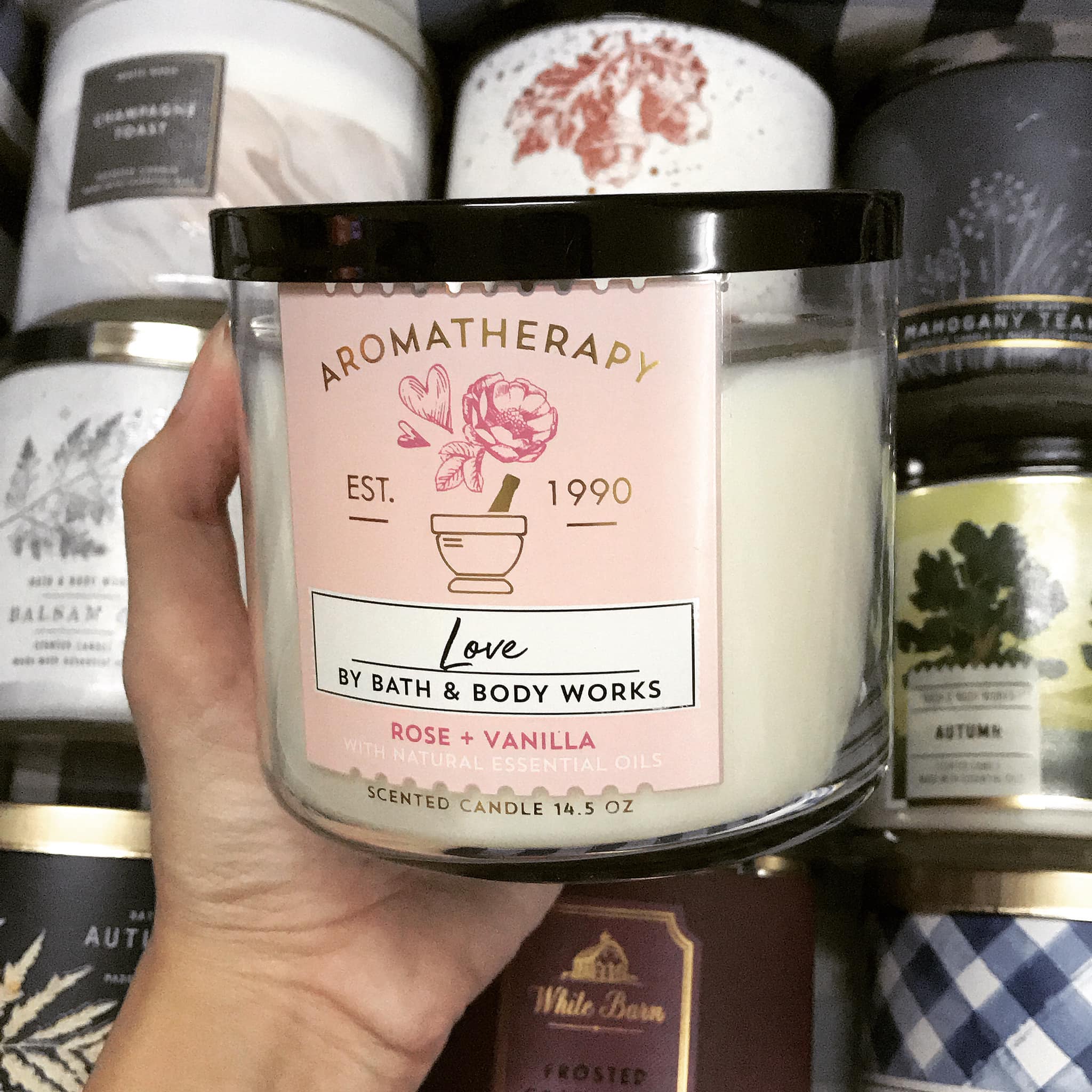 [HCM]Nến thơm 1 bấc Bath&Body Works - mùi Aromatherapy Rose+Vanilla