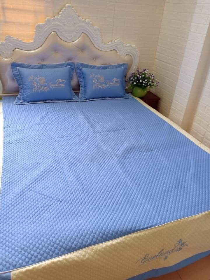 Bộ chăn ga cotton satin poly 7 món trần bông ( được chọn mẫu )