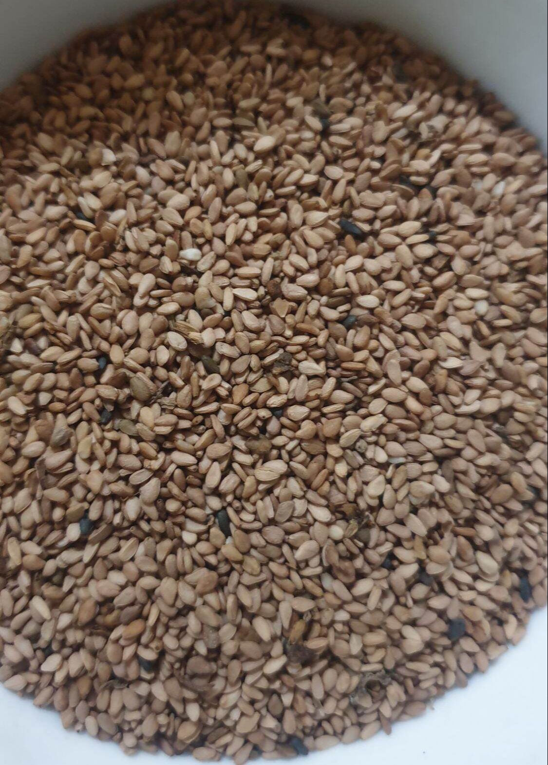 MÈ VÀNG (Vừng vàng) 1kg