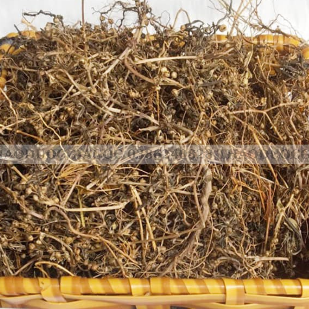 1kg bạch hoa xà thiệt thảo ( khô sạch đẹp mới)