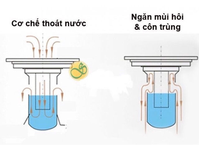 Phễu thoát sàn Ngăn mùi hôi Đa Năng