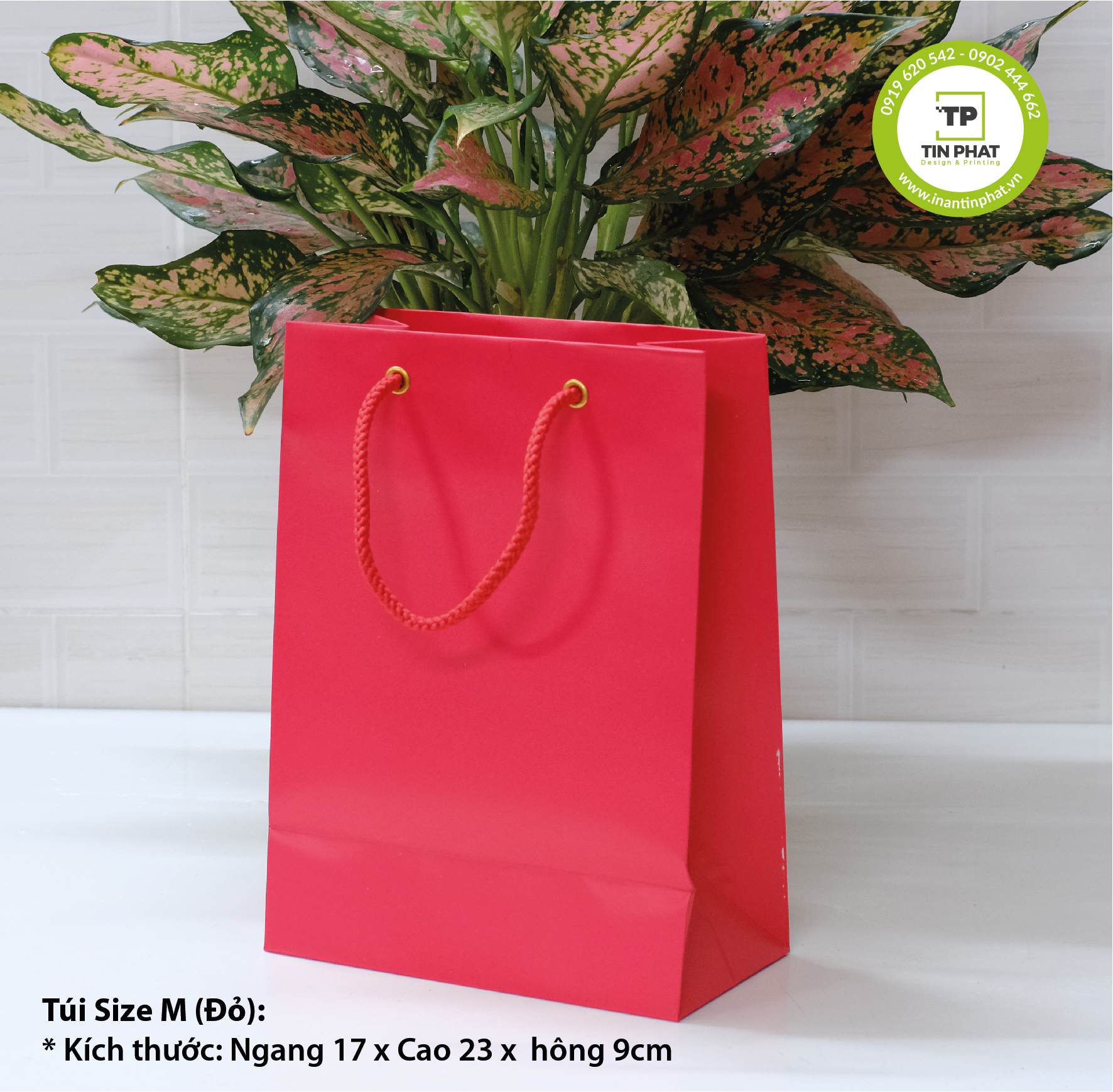 TÚI GIẤY CÓ SẴN - KHÔNG IN - ĐỦ KÍCH THƯỚC