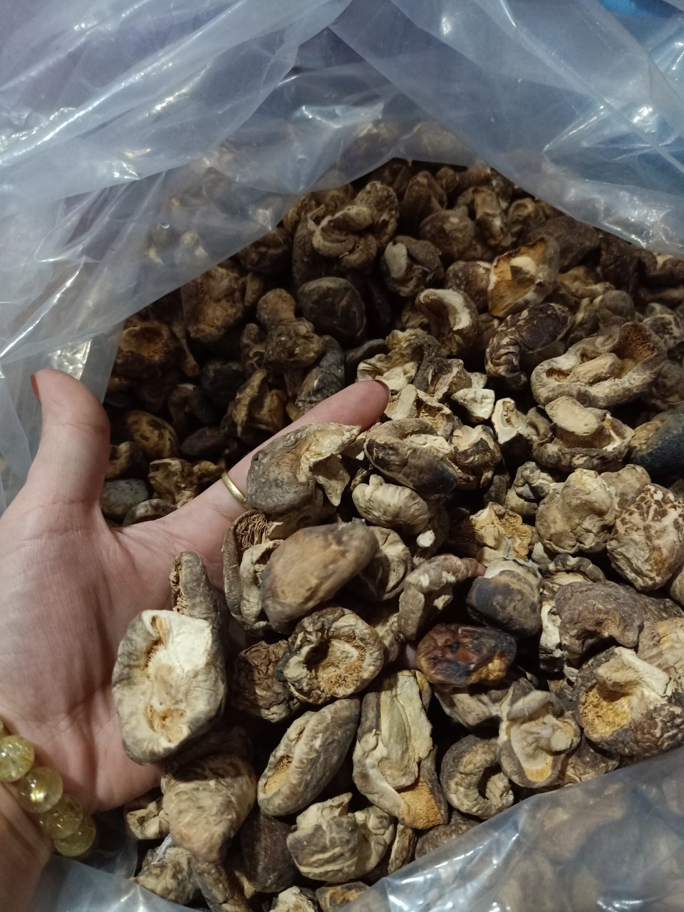BÔNG NẤM HƯƠNG KHÔ (bông nhỏ )