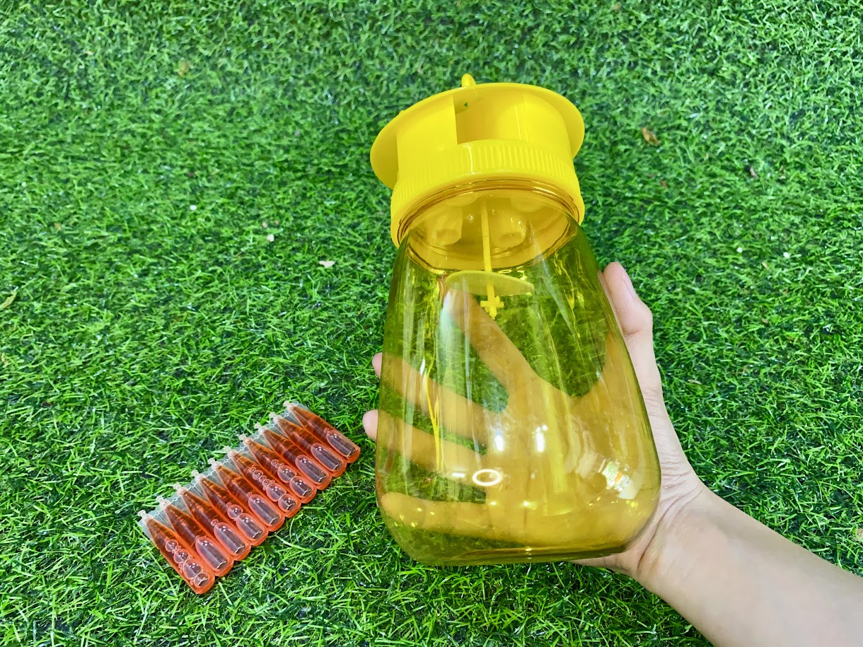 Bộ lồng bẫy ruồi vàng kèm chất dẫn dụ ruồi