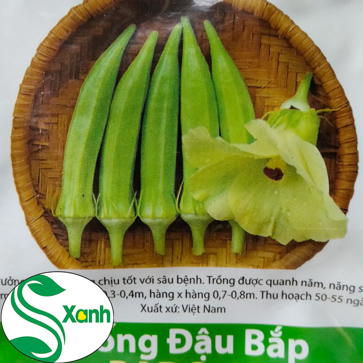 Hạt giống đậu bắp - gói 20g