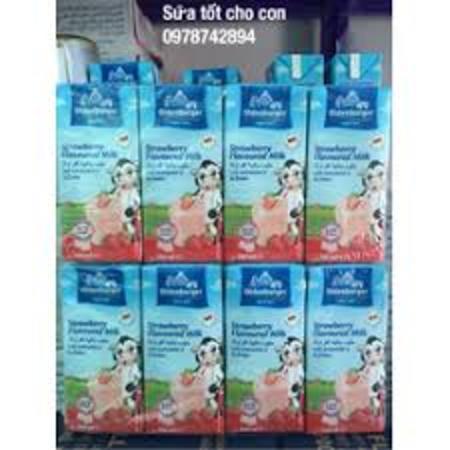 HCMSữa tươi Oldenburger vị dâu thùng 24 hộp 200ml