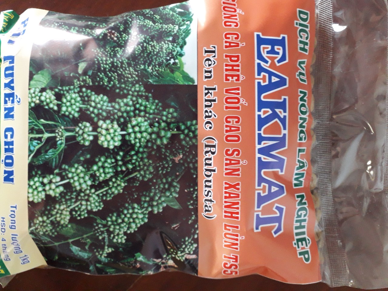 0,5 kg hạt giống cây cà phê xanh lùn hạt tuyển chọn bao nảy mầm