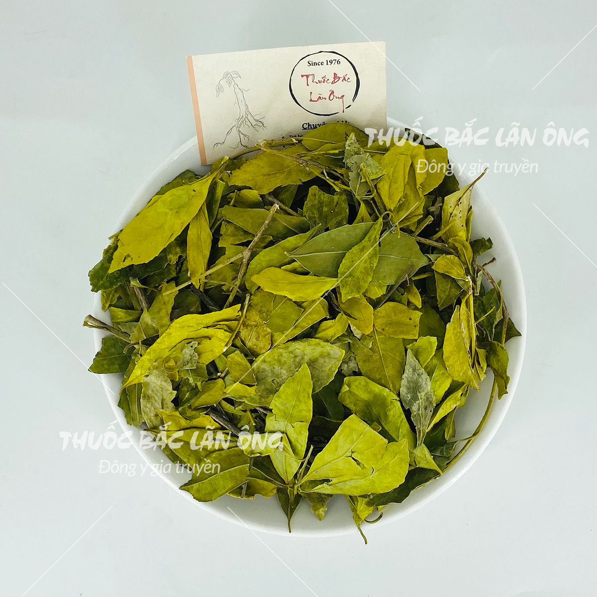 Chè dung 500g, trà dung khô, thơm, sạch - Lãn Ông