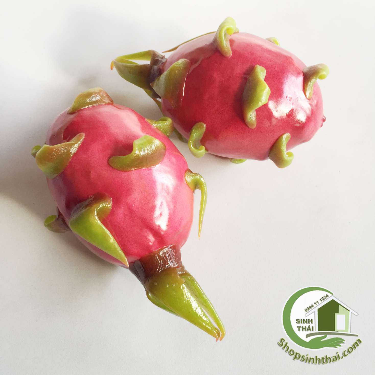 Trái thanh long giả màu đỏ - quả thanh long giả cao cấp