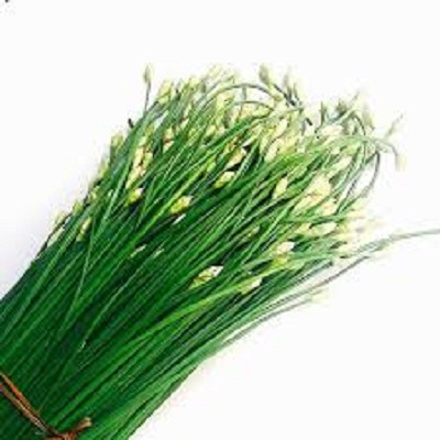 [HCM]HẠT GIỐNG HẸ BÔNG