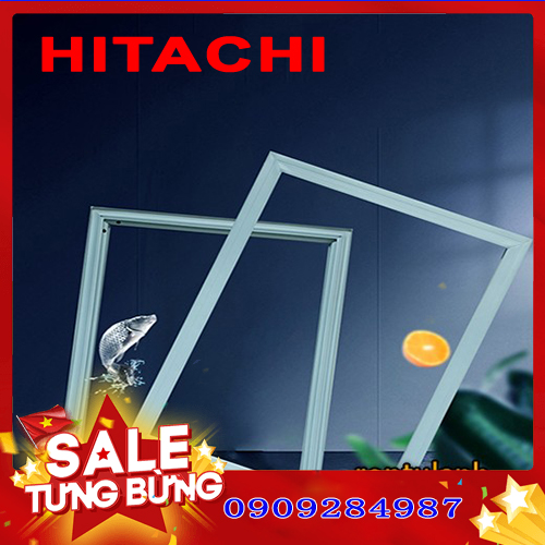 Ron cửa của tủ lạnh Hitachi model R-WB545PGV2 (tủ 3 cánh ngăn đá duới)