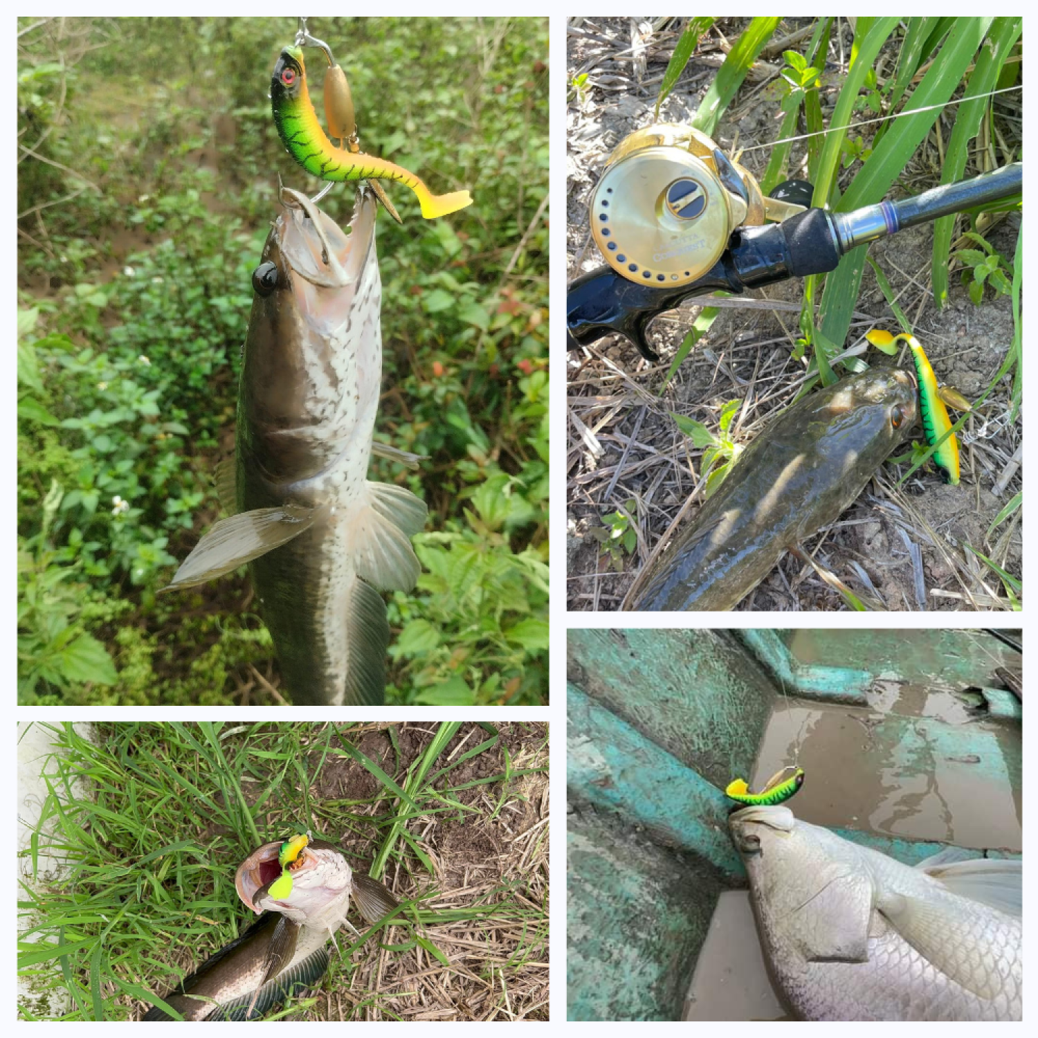 Mồi Mềm NFF Câu Lure Cá Lóc Và Lưỡi Mồi Mềm AR15