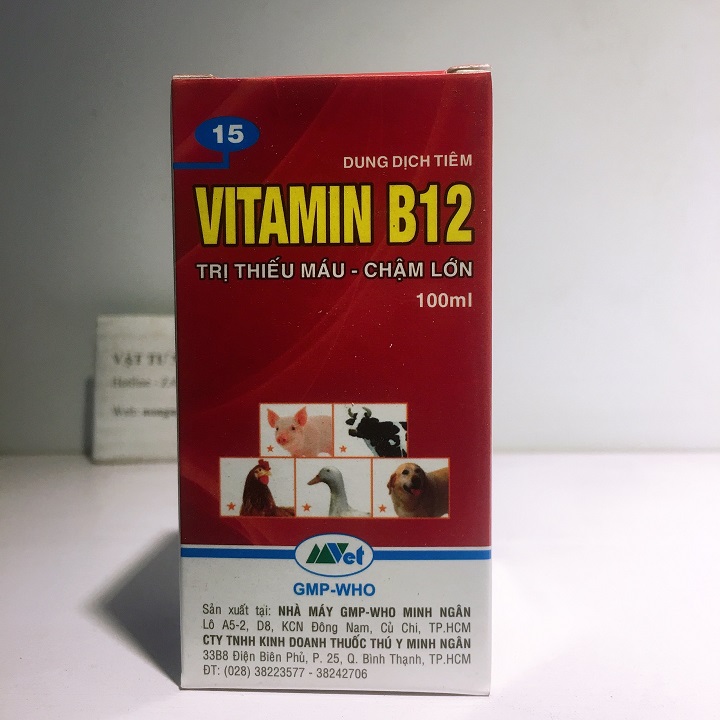 Vitamin B12 - Trị thiếu máu , chậm lớn (#becphunsuong, #phantrunque)