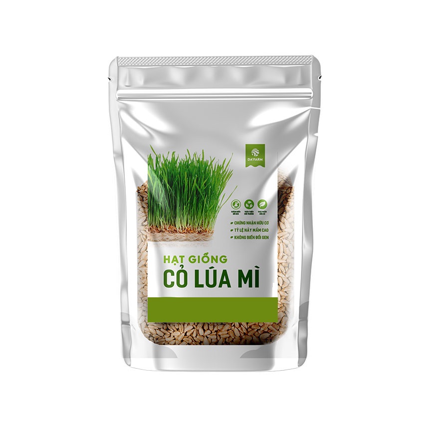 Hạt giống cỏ lúa mì hữu cơ - 1kg