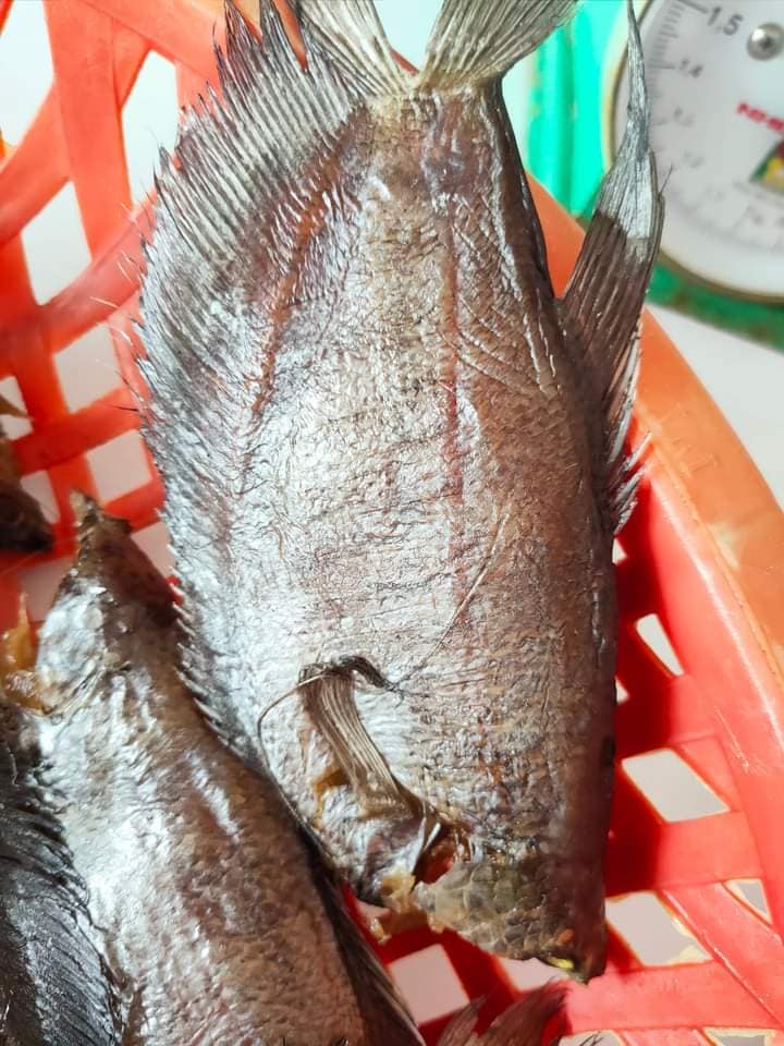 Khô cá Bổi 8 con/kg