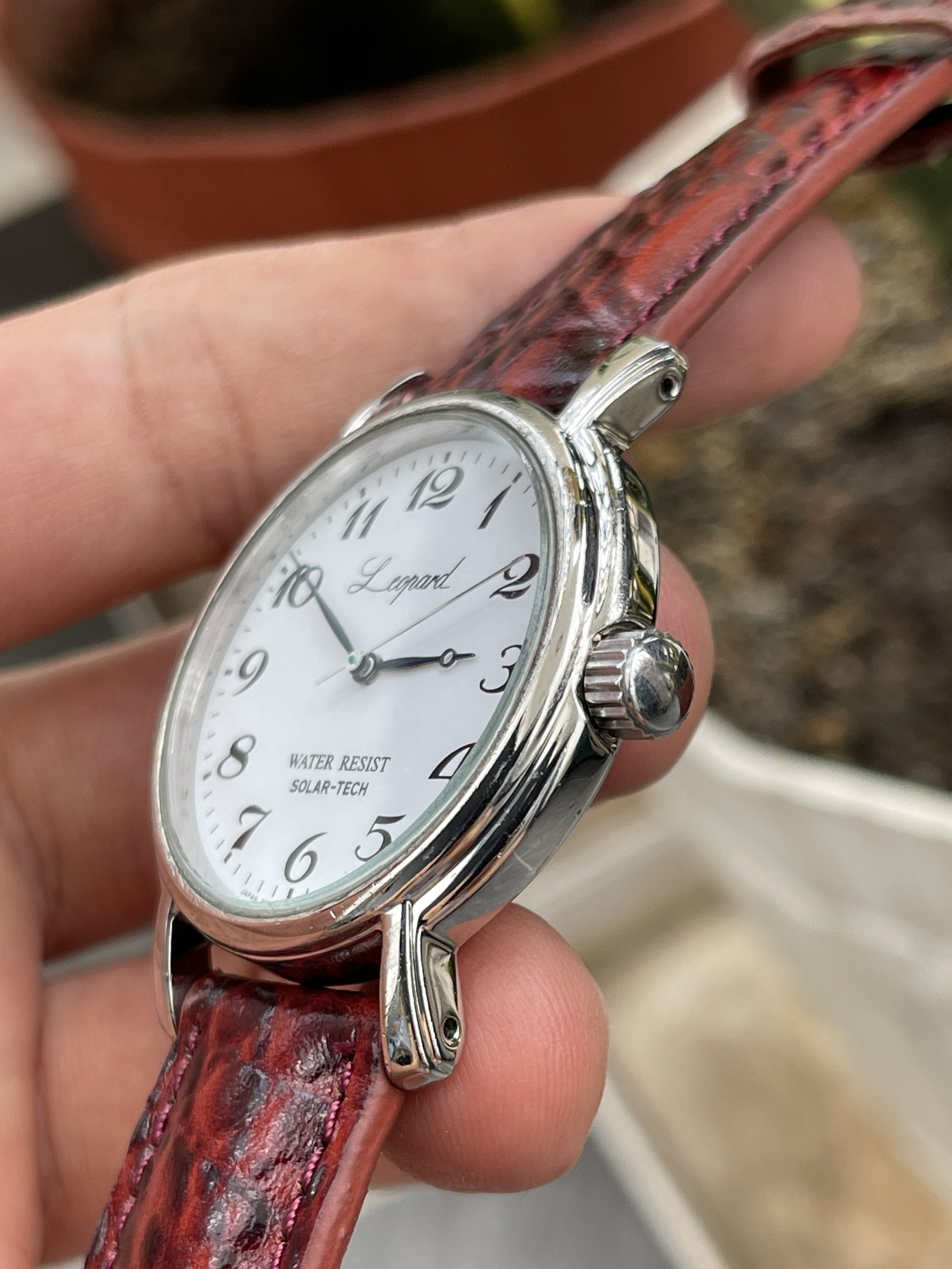 Đồng hồ nam Citizen Leopard chạy pin hàng Si