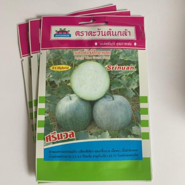 Hạt Giống Bí Đao Nếp Tròn (Đài Loan)