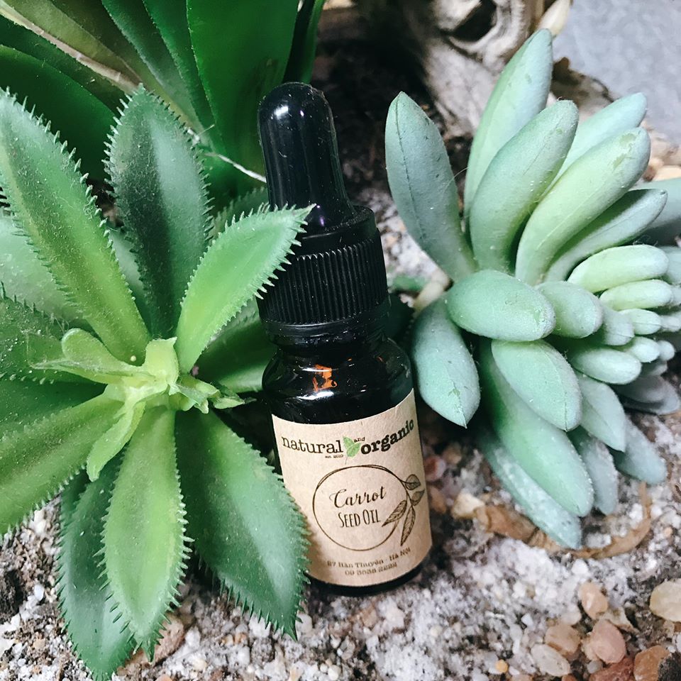 Dầu dưỡng da Carrot Seed Oil