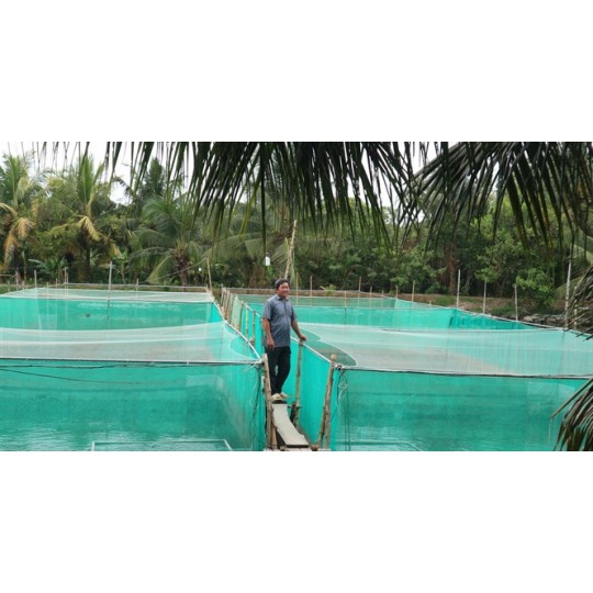 Tráng đựng cá, tráng nuôi cá, ếch, dèo đựng cá