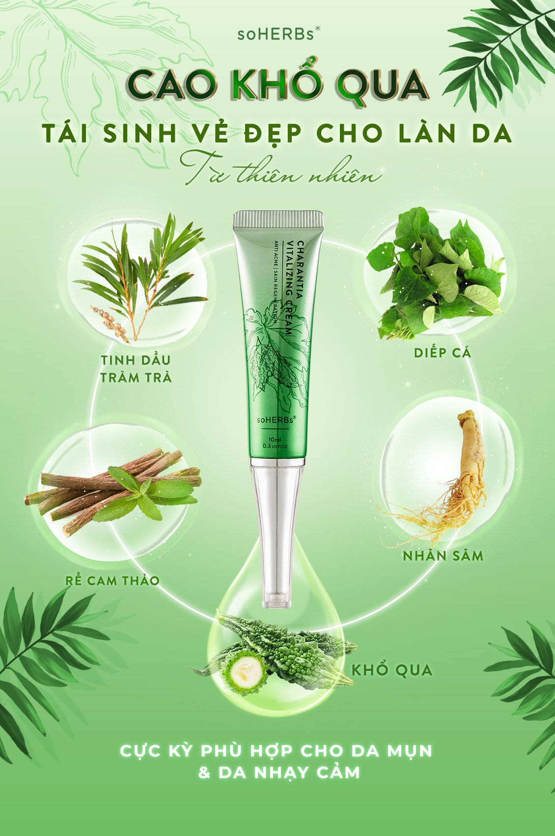 [HCM]CAO KHỔ QUA SOHERBS