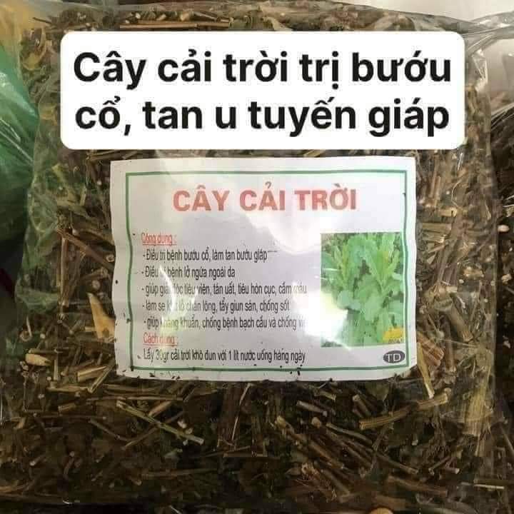 (Dược liệu khô) Cây Cải trời (còn có tên Kim đầu te) phơi khô 500g