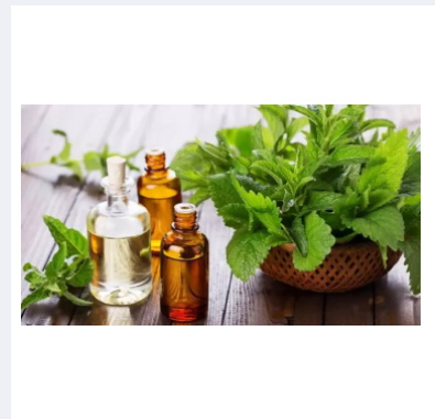Tinh dầu bạc hà phước quảng 60ml LV798