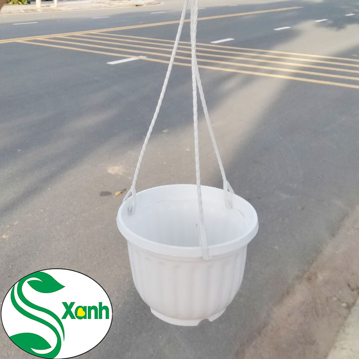 10 chậu treo Mini Kích thước 11x9