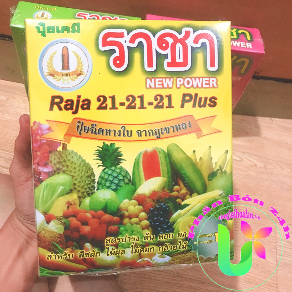 Phân bón npk cao cấp raja 21-21-21 plus hộp 1kg cho giai đoạn lớn trái