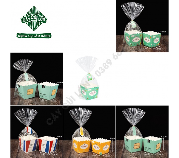 SET 10 TÚI KIẾNG GIẤY CAO