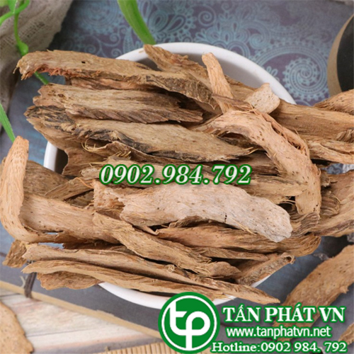 Thiên niên kiện 100g - tấn phát