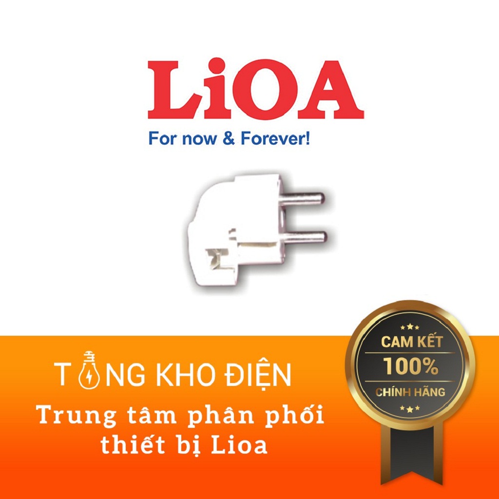 [HCM]Phích Cắm Tiêu Chuẩn Châu Âu LIOA EURF5