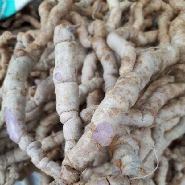 Ba kích Tím Khô 500gr Rút Lõi
