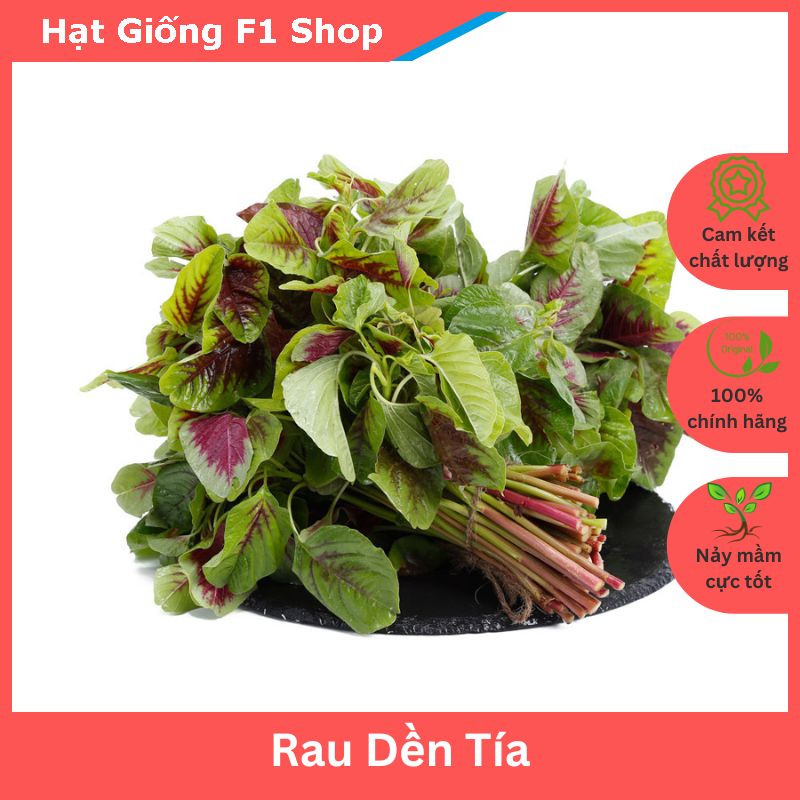 Hạt giống rau dền tía mềm ngon dễ trồng