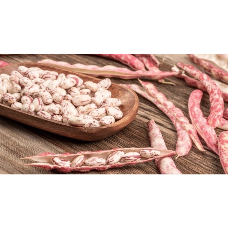 1kg Đậu cúc Đà Lạt (Pinto beans)