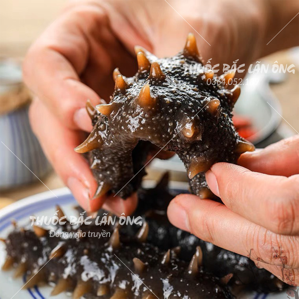 Hải sâm đen khô cao cấp 100g ( Dinh dưỡng, bổ thận, nhuận tràng )