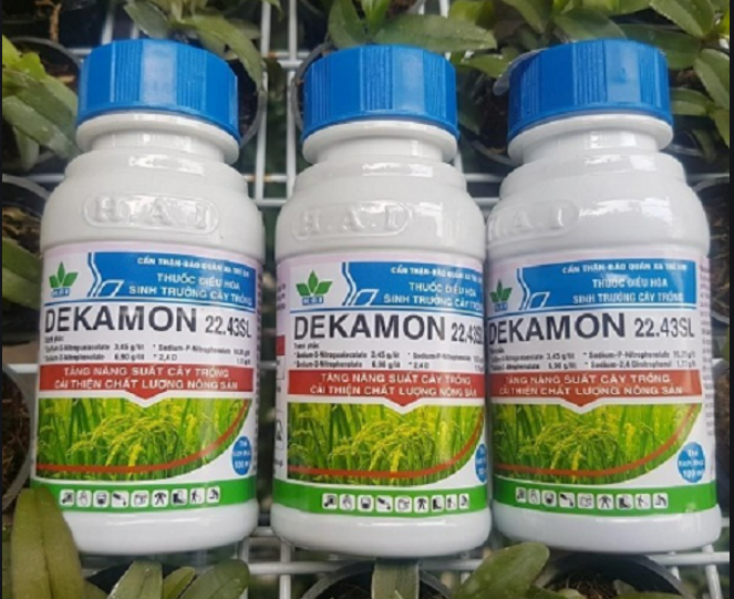 Phân Bón Lá Dekamon 22,43Sl Chai 100ml