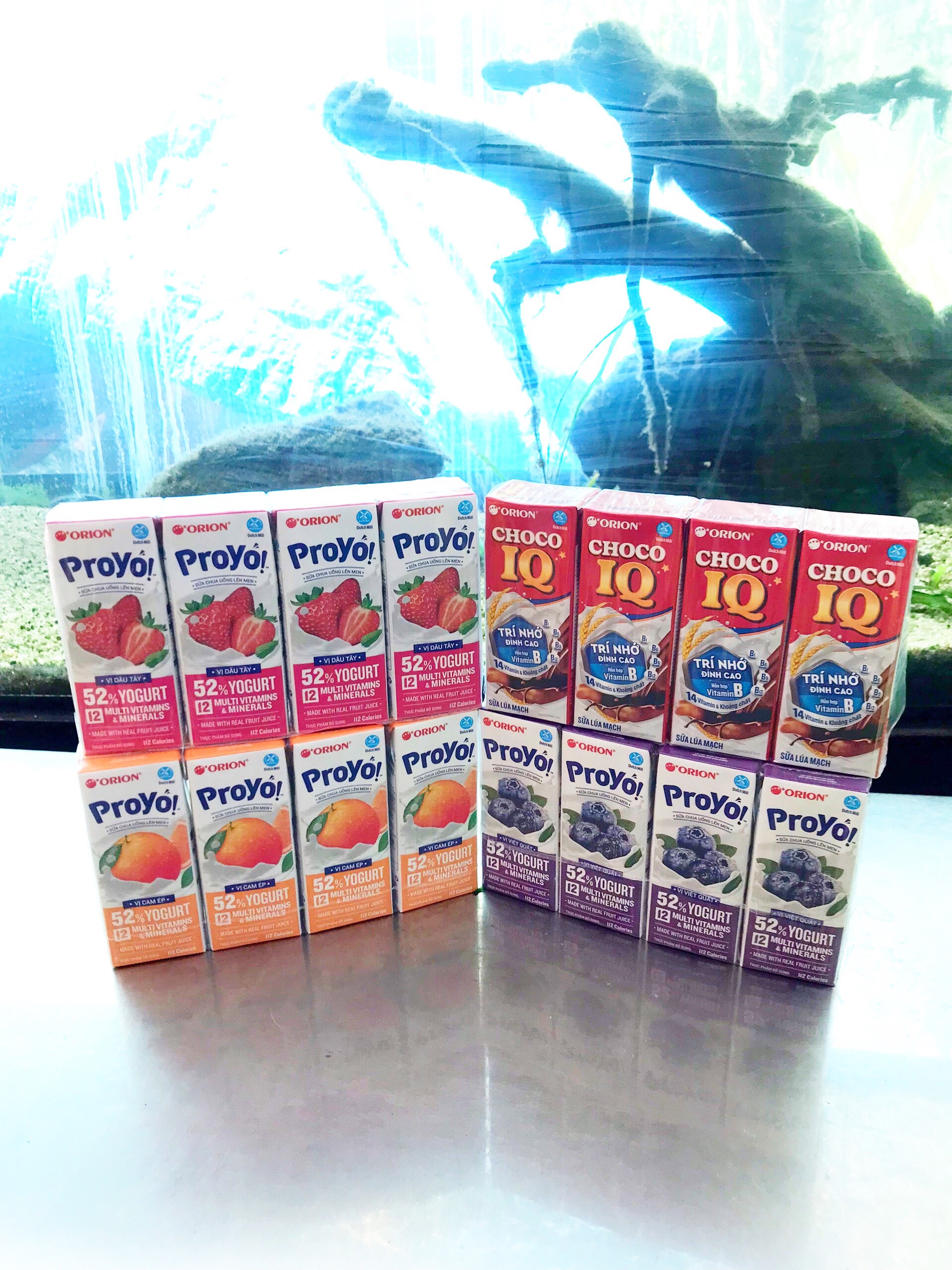 Sữa Lúa Mạch Choco IQ Và Sữa Chua Uống Lên Men ORION Proyo! (Lốc 4 Hộp - Lớn)