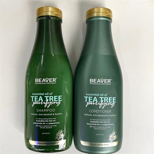 Cặp Dầu Gội Xả Chống Rụng Và Gầu Chiết Xuất Trà Xanh BEAVER