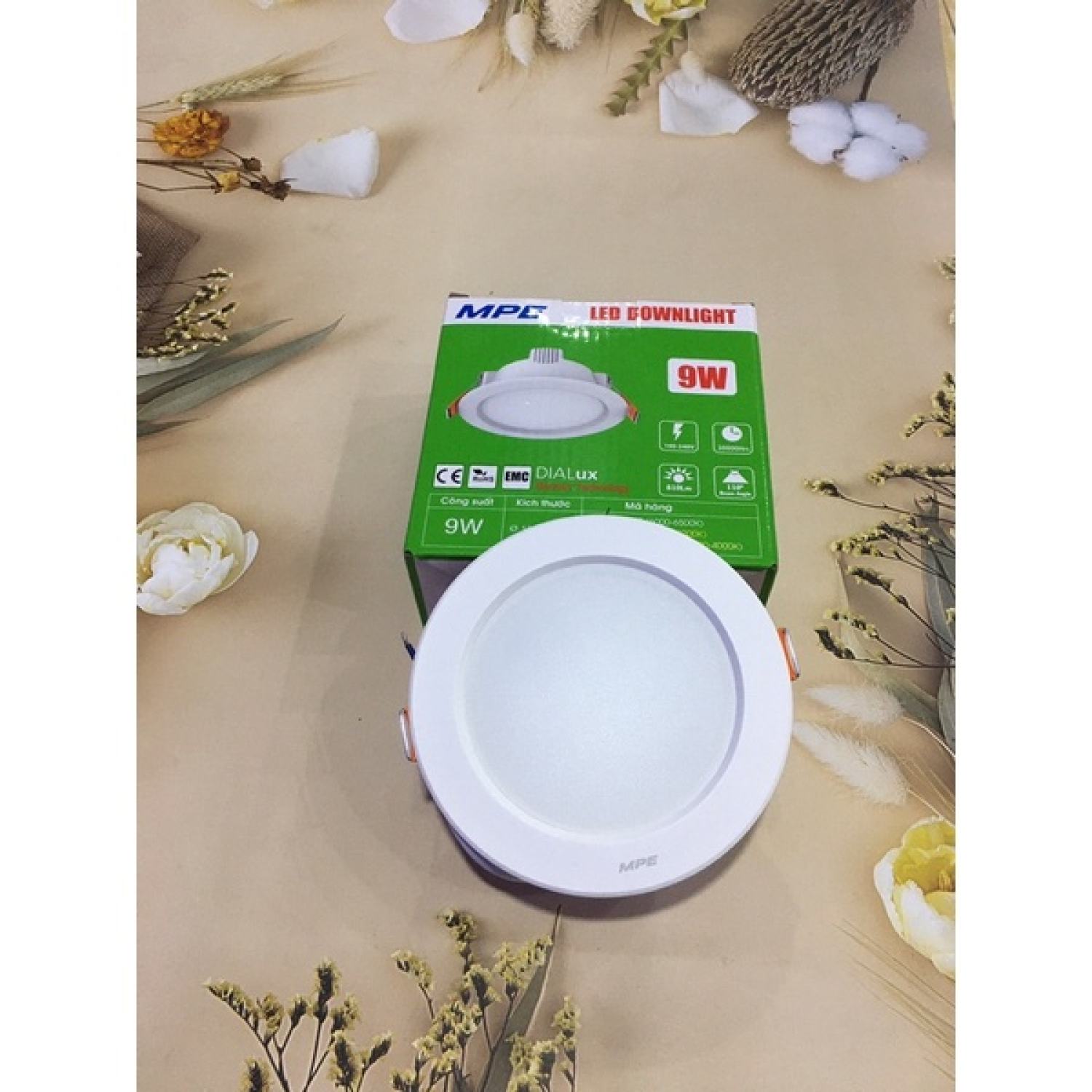 Bóng âm trần MPE 9W