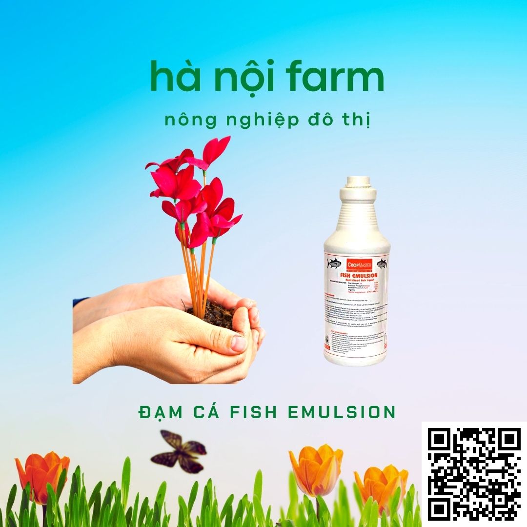 Phân bón hữu cơ fish emulsion - Đạm cá phú hảo chai 250ml