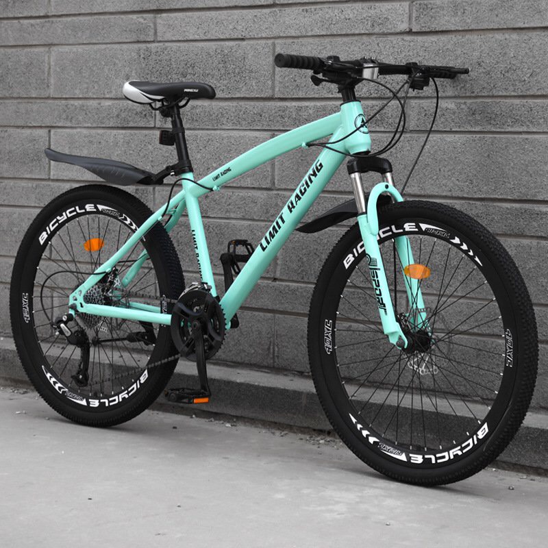 Xe đạp thể thao địa hình Limit Racing ( vành đúc)