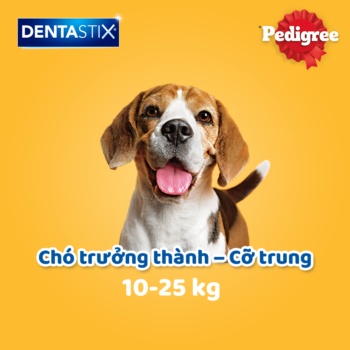 [DATE 16.7][Quà tặng không bán] Bánh xương dành cho chó Pedigree dentastix 98g