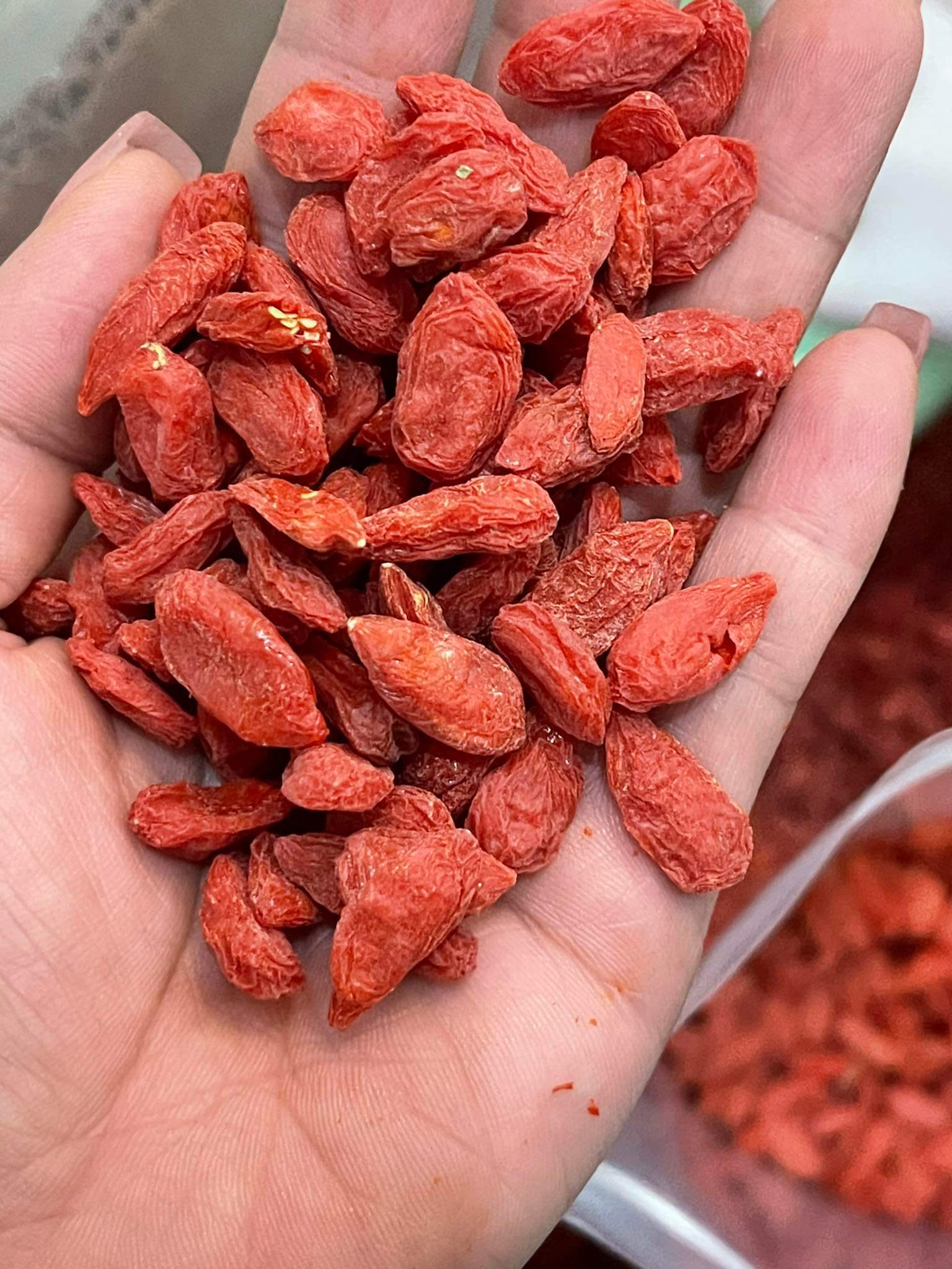 Kỷ tử sấy mộc Ninh Hạ, 500g