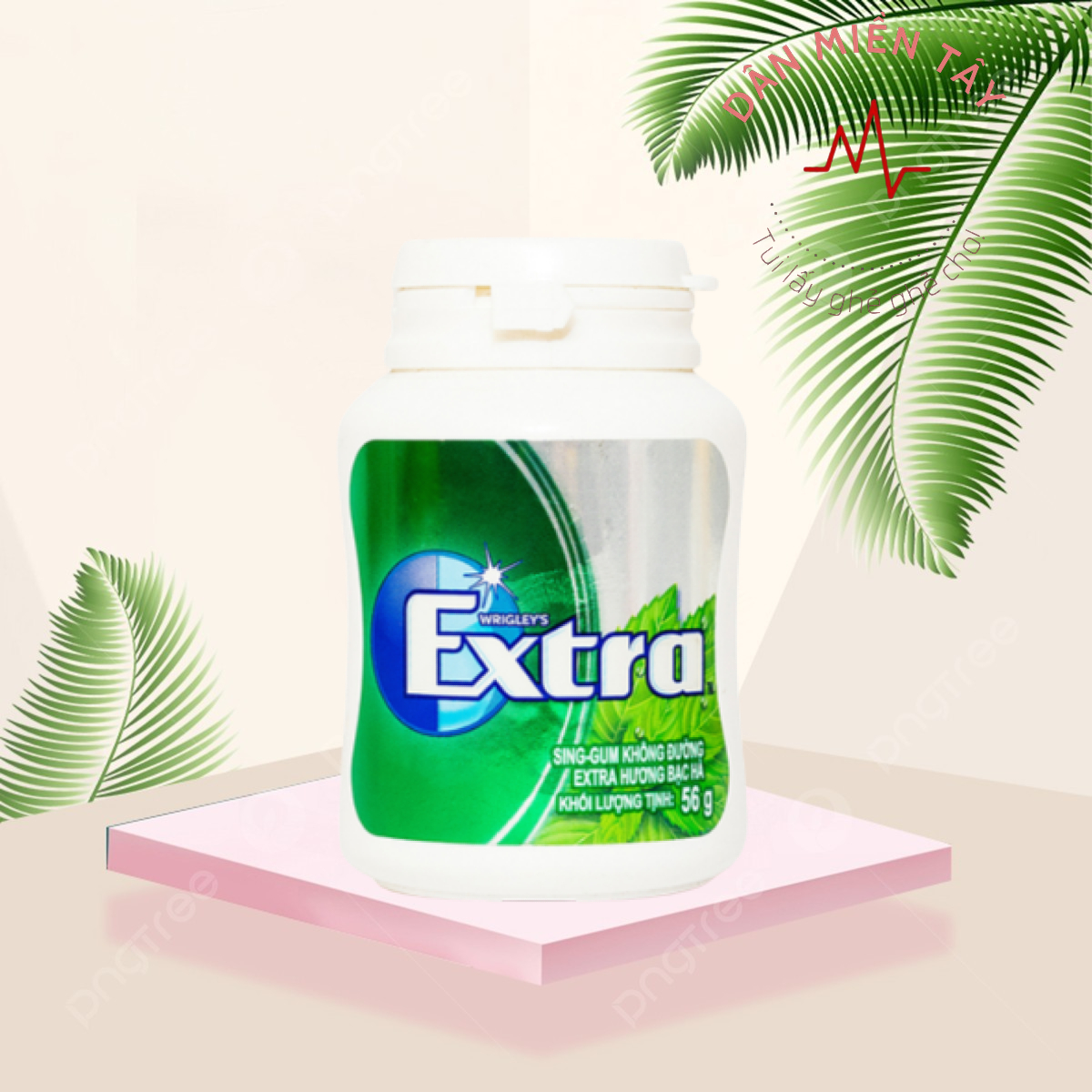 Hủ Kẹo Singum Không Đường Extra CoolAir – Hơi Thở Thơm Mát, Tự Tin Giao Tiếp