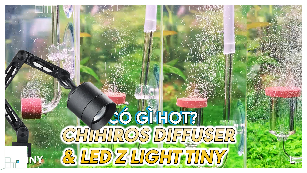 LED Chihiros Z Light Tiny | Đèn LED Rọi Cao Cấp Chỉnh App | 8m2