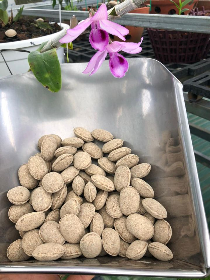 Phân tan chậm Hạt bàng, Phân tan chậm hữu cơ Nhật