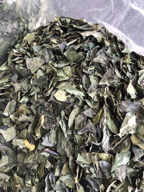 Lá thạch găng 500g
