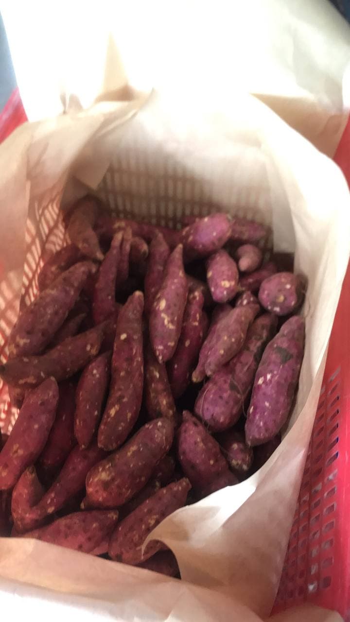 Khoai Lang Nhật 500gr/túi