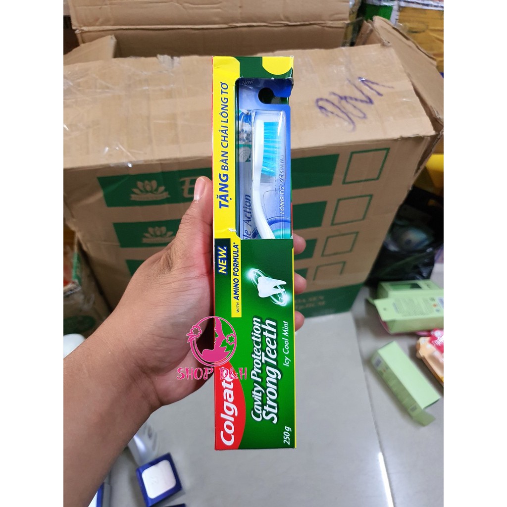 Kem Đánh Răng Colgate + Tặng Bàn Chải Lông Tơ